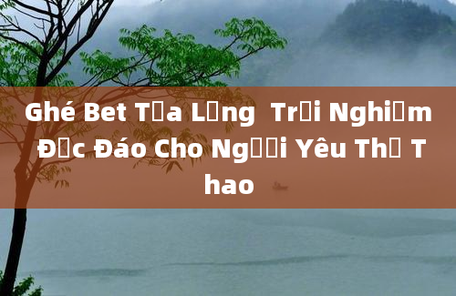 Ghé Bet Tựa Lưng  Trải Nghiệm Độc Đáo Cho Người Yêu Thể Thao