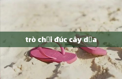 trò chơi đúc cây dừa