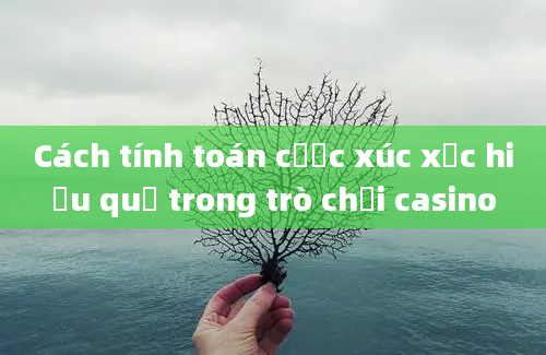 Cách tính toán cược xúc xắc hiệu quả trong trò chơi casino