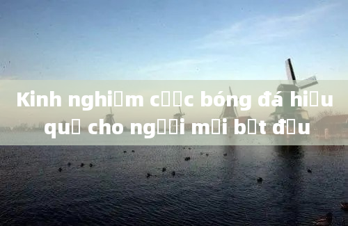 Kinh nghiệm cược bóng đá hiệu quả cho người mới bắt đầu