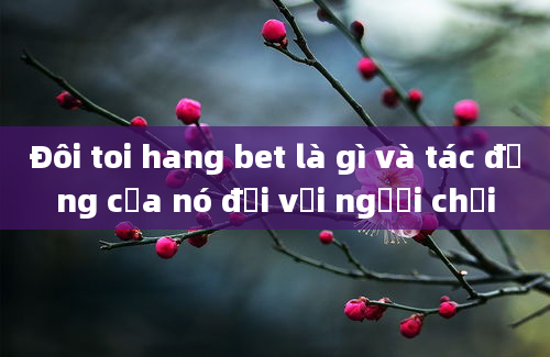 Đôi toi hang bet là gì và tác động của nó đối với người chơi