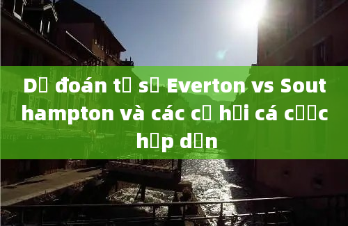 Dự đoán tỷ số Everton vs Southampton và các cơ hội cá cược hấp dẫn