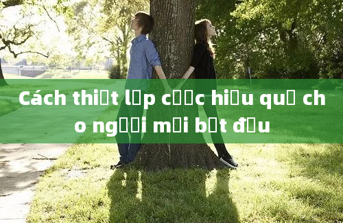 Cách thiết lập cược hiệu quả cho người mới bắt đầu