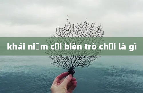 khái niệm cải biên trò chơi là gì