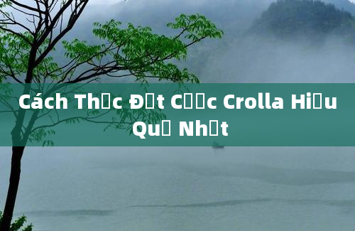 Cách Thức Đặt Cược Crolla Hiệu Quả Nhất