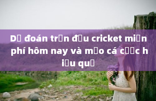 Dự đoán trận đấu cricket miễn phí hôm nay và mẹo cá cược hiệu quả