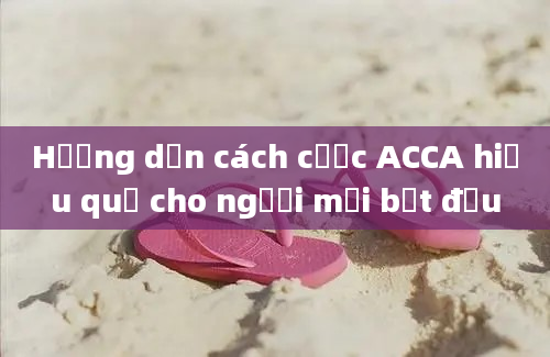 Hướng dẫn cách cược ACCA hiệu quả cho người mới bắt đầu