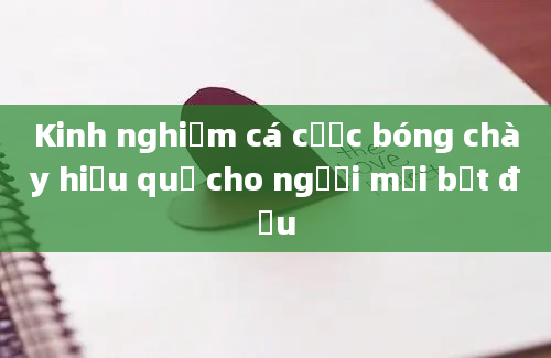 Kinh nghiệm cá cược bóng chày hiệu quả cho người mới bắt đầu