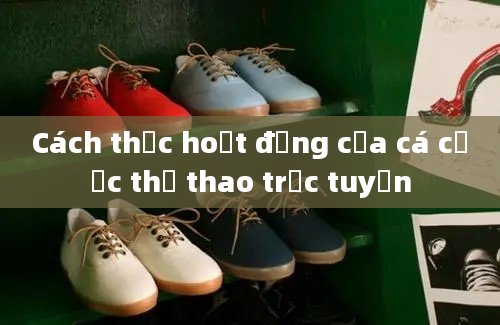 Cách thức hoạt động của cá cược thể thao trực tuyến