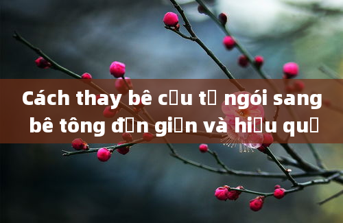 Cách thay bê cẩu từ ngói sang bê tông đơn giản và hiệu quả