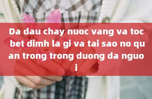 Da dau chay nuoc vang va toc bet dimh la gi va tai sao no quan trong trong duong da nguoi