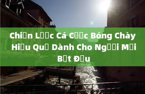 Chiến Lược Cá Cược Bóng Chày Hiệu Quả Dành Cho Người Mới Bắt Đầu